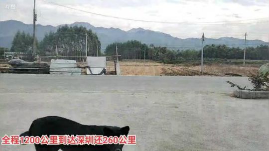 哆啦爱梦梦发布了一个斗鱼视频2019-12-09