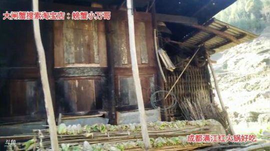 12点半开播上山做饭(≧ω≦)/ 2019-12-10 14点场