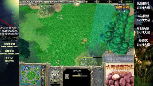 我在斗鱼看大帝LioN直播魔兽争霸