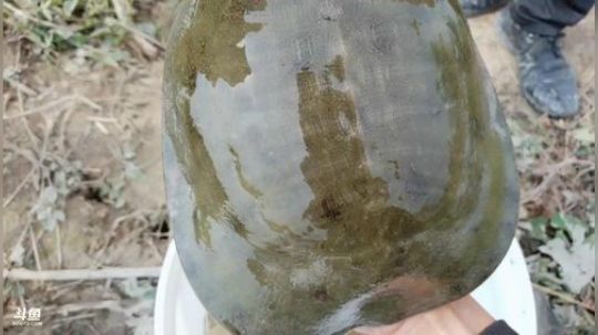 快乐打野每一天 2019-12-10 11点场