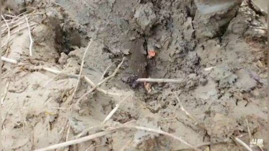 快乐打野每一天 2019-12-10 13点场