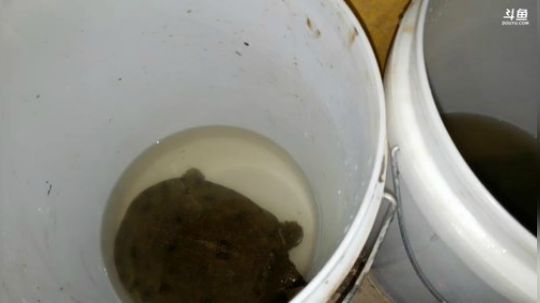 快乐打野每一天 2019-12-09 21点场