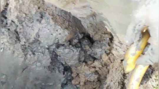 快乐打野每一天 2019-12-10 15点场