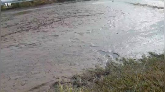 快乐打野每一天 2019-12-10 13点场