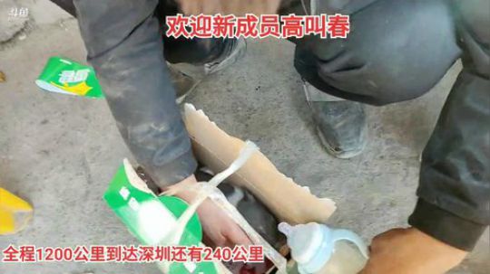 哆啦爱梦梦发布了一个斗鱼视频2019-12-11