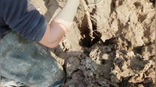 快乐打野每一天 2019-12-11 13点场