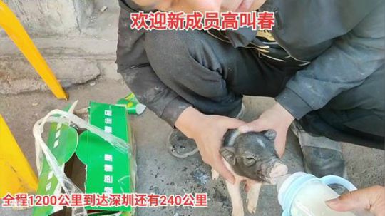 哆啦爱梦梦发布了一个斗鱼视频2019-12-11