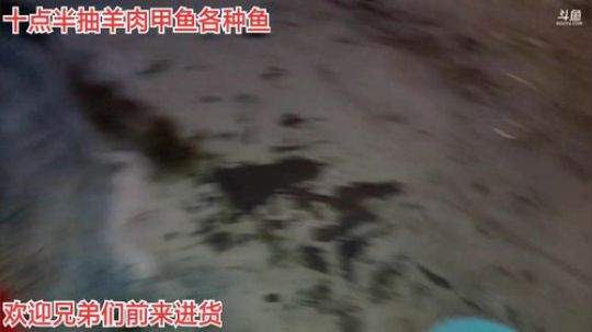 来来来！分鱼了！！ 2019-12-09 06点场