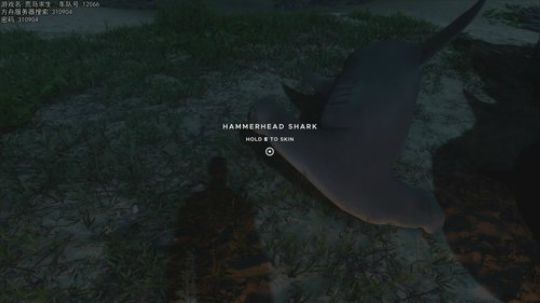 热爱生活，走进巴叔 2019-12-11 18点场