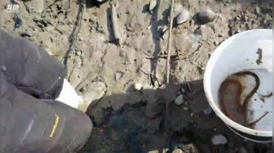 快乐打野每一天 2019-12-11 11点场