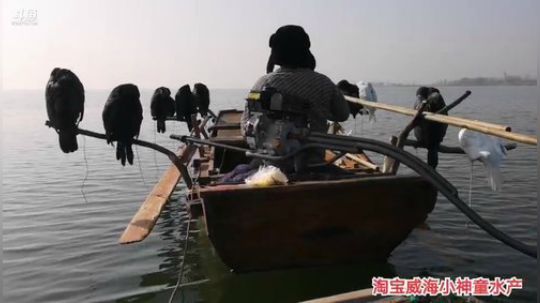 科头溜子发布了一个斗鱼视频2019-12-11