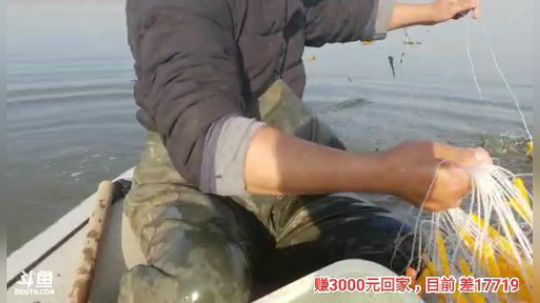 科头溜子发布了一个斗鱼视频2019-12-12