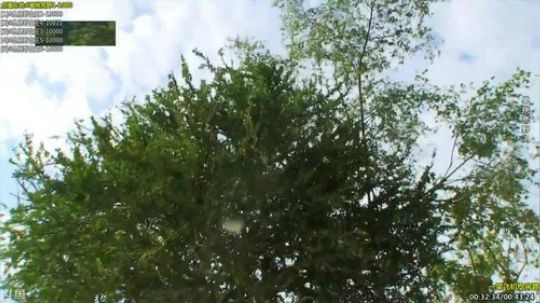 户外遛狗王飞哥发布了一个斗鱼视频2019-12-12