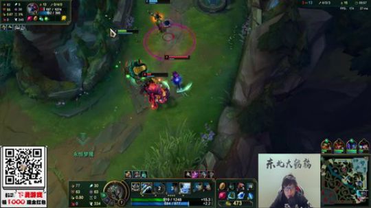 我在斗鱼看东北大鹌鹑直播英雄联盟