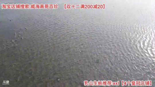 西北老狼哥哥发布了一个斗鱼视频2019-12-13