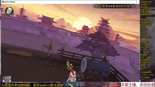 随风：斗技斗技 2019-12-13 11点场