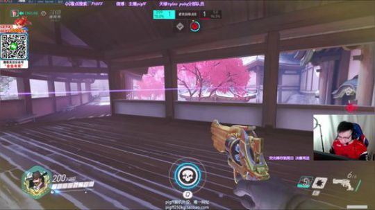 我在斗鱼看pigff直播绝地求生