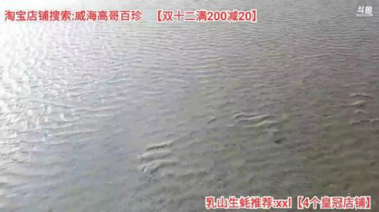 西北老狼哥哥发布了一个斗鱼视频2019-12-13