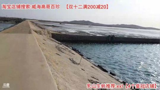 科头溜子发布了一个斗鱼视频2019-12-13