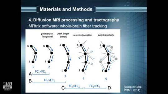 R-fMRI Journal Club 2019-12-06 09点场