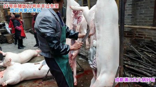 大哥家杀年猪(≧ω≦)/ 2019-12-13 07点场