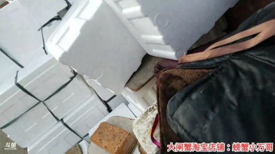 风里雨里，海鲜走起。 2019-12-14 14点场
