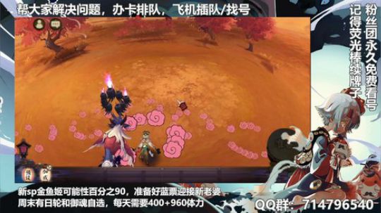 对萌新最友好的直播间 2019-12-14 11点场