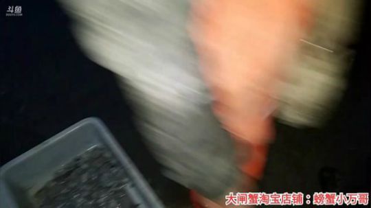 风里雨里，码头走起。 2019-12-15 16点场