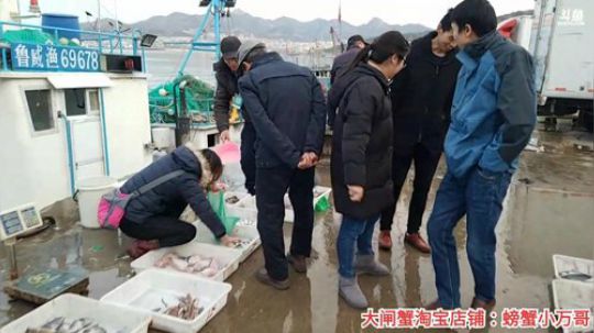 风里雨里，码头走起。 2019-12-15 16点场