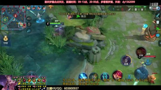 国服阿离带粉1打5上荣耀 2019-12-14 20点场