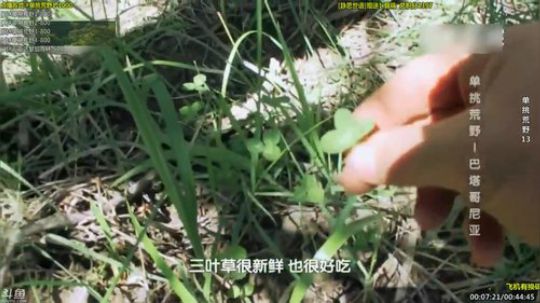 静思世语发布了一个斗鱼视频2019-12-15