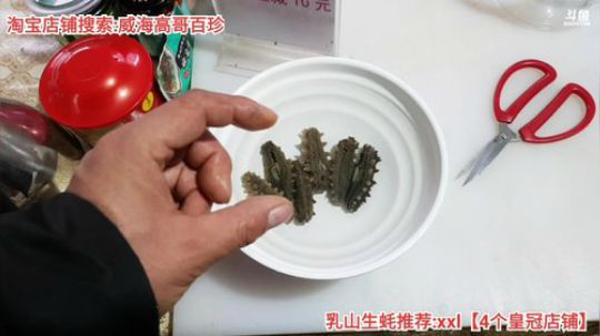 西北老狼哥哥发布了一个斗鱼视频2019-12-15
