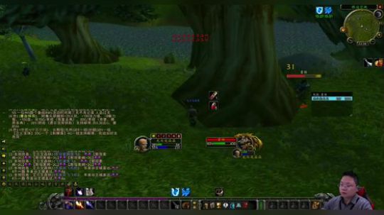 魔兽世界怀旧服：9级亲儿子单挑霍格！高端娴熟的猎人对法爷下手