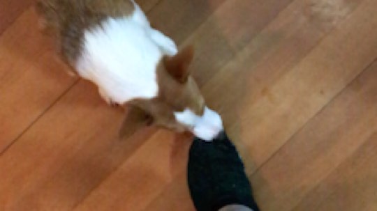 晚上第四组！比赛！