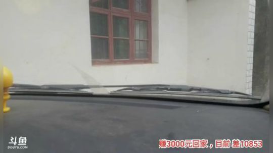 十一郎君01发布了一个斗鱼视频2019-12-15