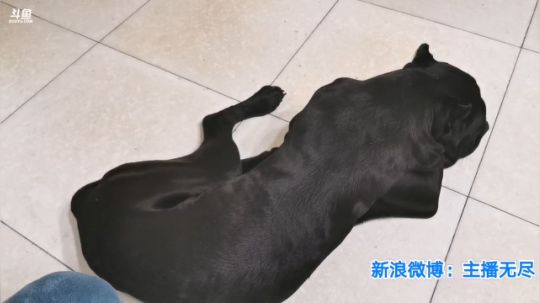 我在斗鱼看无尽无尽的无尽直播美食