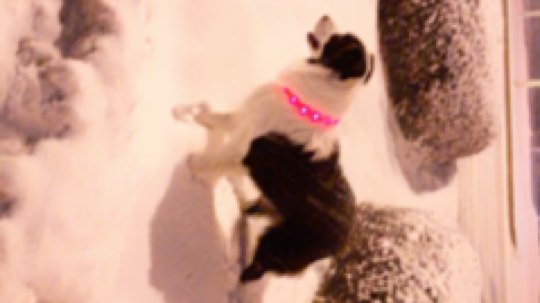 看看这雪多厚！！！