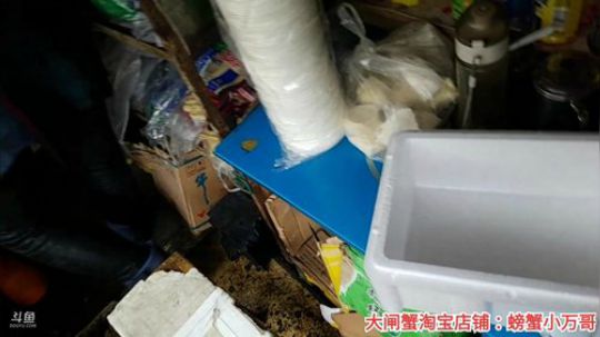 哆啦爱梦梦发布了一个斗鱼视频2019-12-17