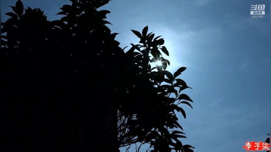 圆园团团发布了一个斗鱼视频2019-12-17