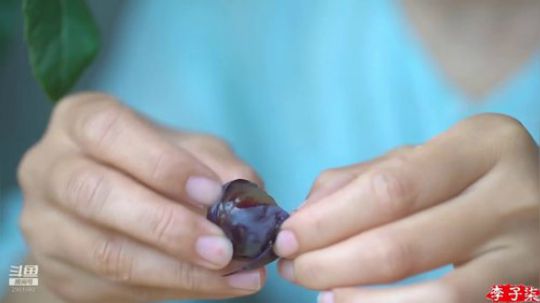 圆园团团发布了一个斗鱼视频2019-12-17