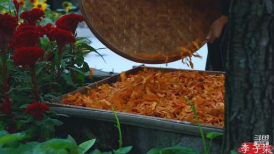 藤一的小幸运发布了一个斗鱼视频2019-12-17