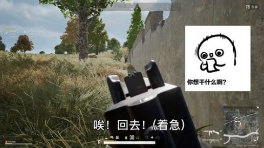 SIYU小仙女的的日常赌局胜利