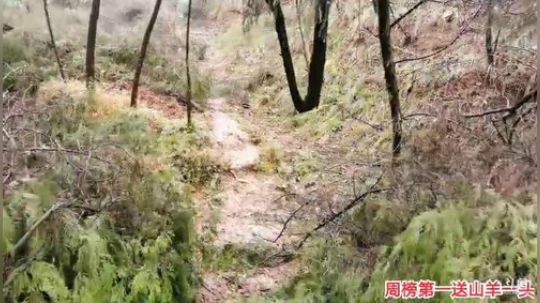 哆啦爱梦梦发布了一个斗鱼视频2019-12-18