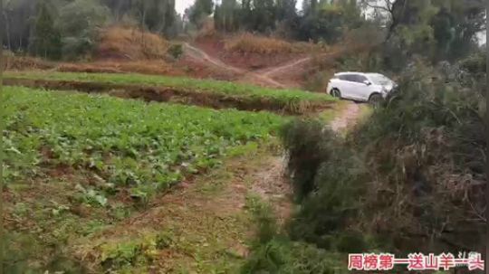 哆啦爱梦梦发布了一个斗鱼视频2019-12-18