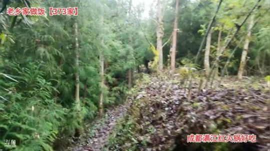 上山做饭(≧ω≦)/ 2019-12-18 14点场