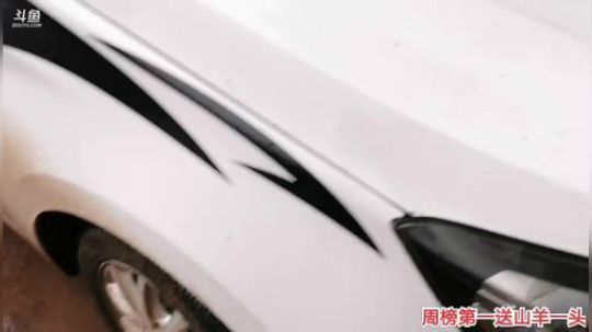 抽水干塘啦 2019-12-18 15点场