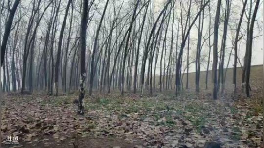 挑战极寒之地-北极村 2019-12-18 13点场