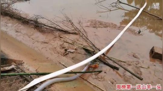 哆啦爱梦梦发布了一个斗鱼视频2019-12-18