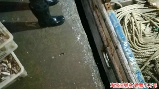 哆啦爱梦梦发布了一个斗鱼视频2019-12-19