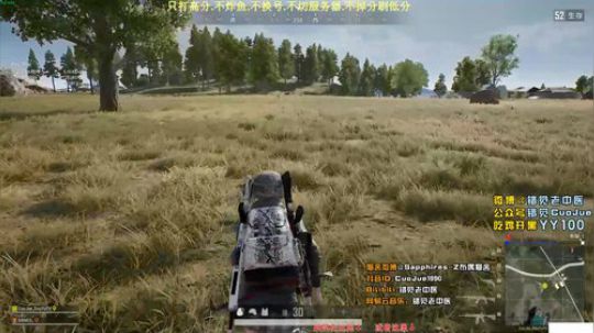 【错觉】双排14杀